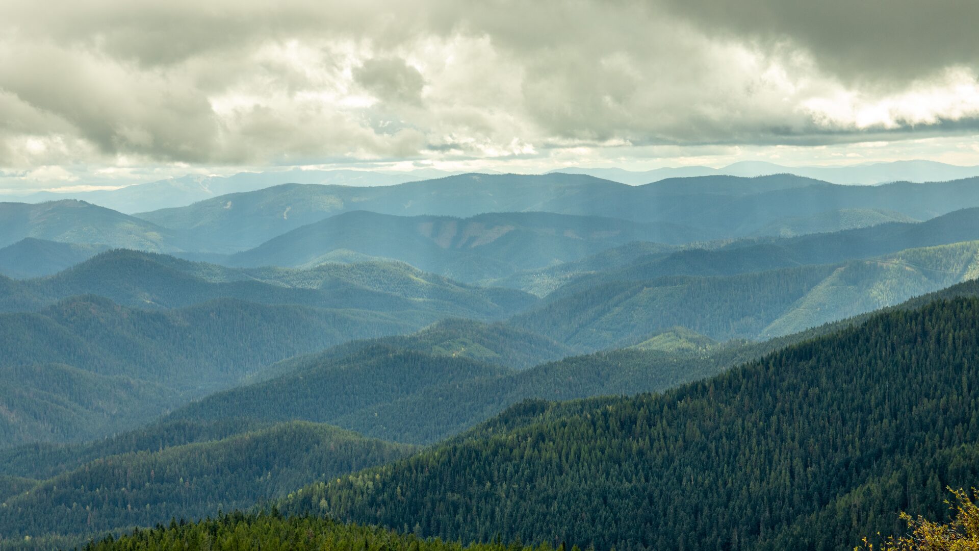 Forested mountain ridges under a cloudy sky in the North Idaho landscape