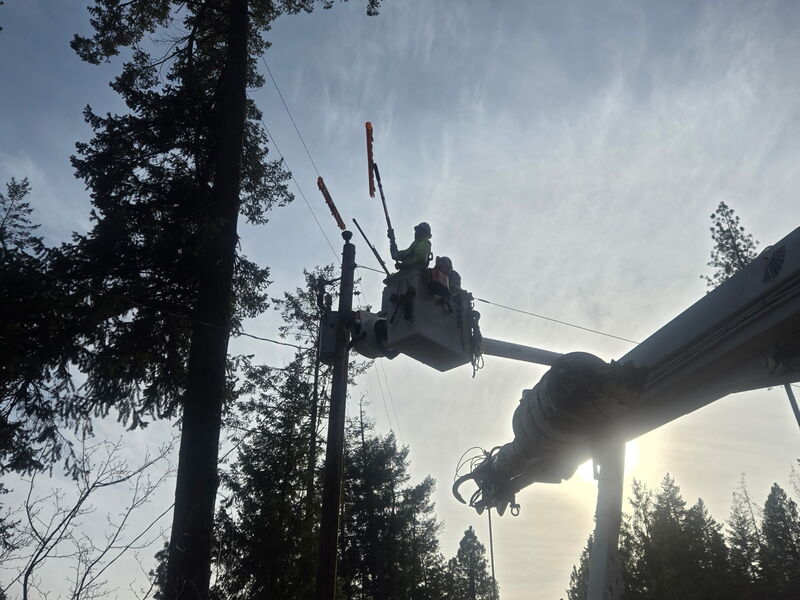 Linemen in a bucket truck using insulated hot sticks among evergreen trees